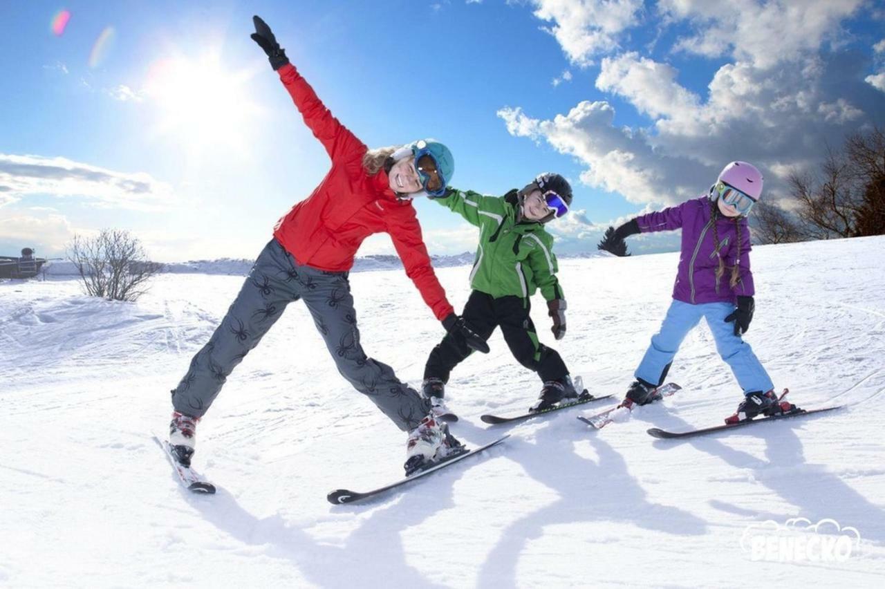 Profamily Hotel Top Benecko Kültér fotó
